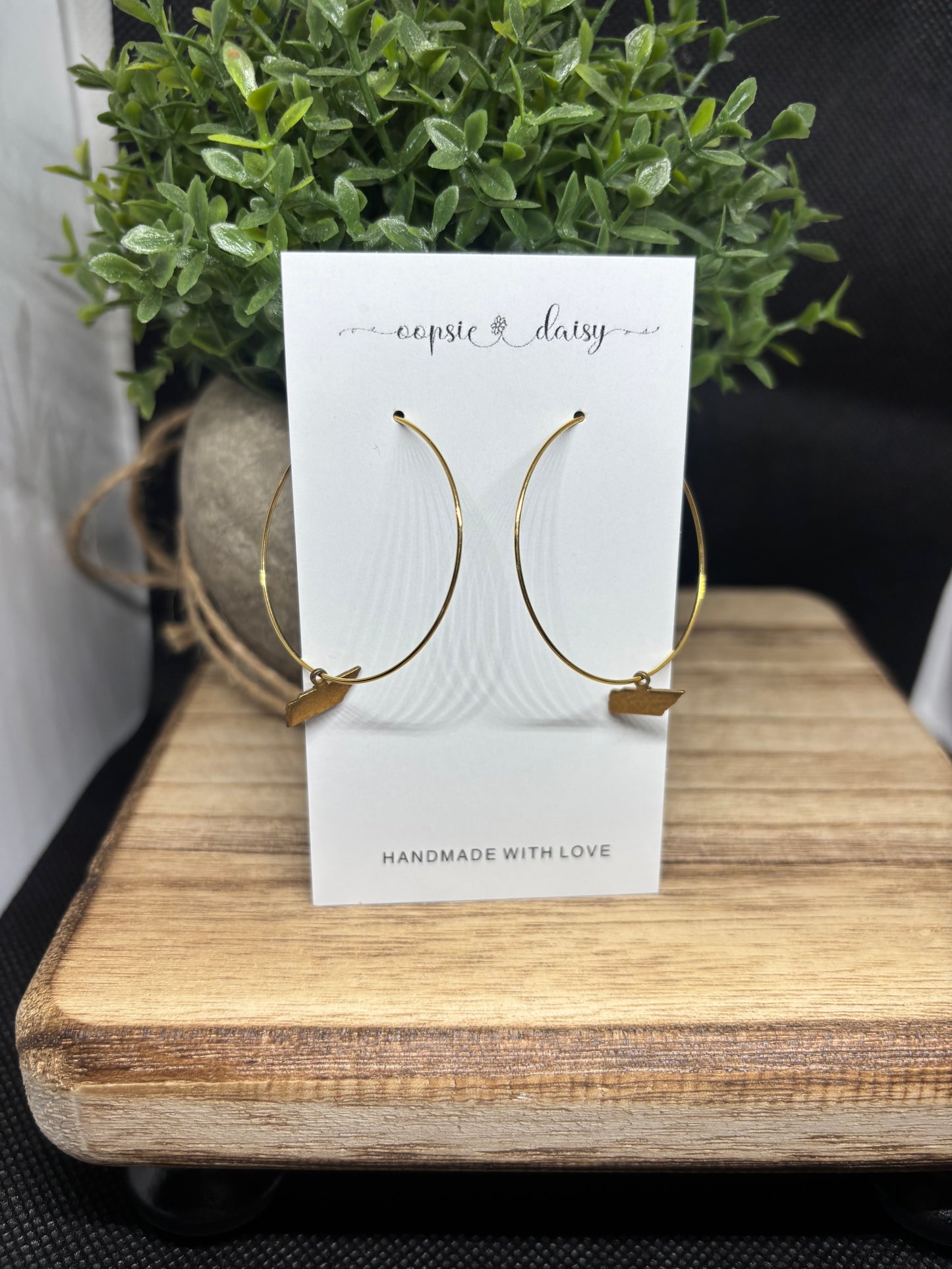 The Tennessee state hoops